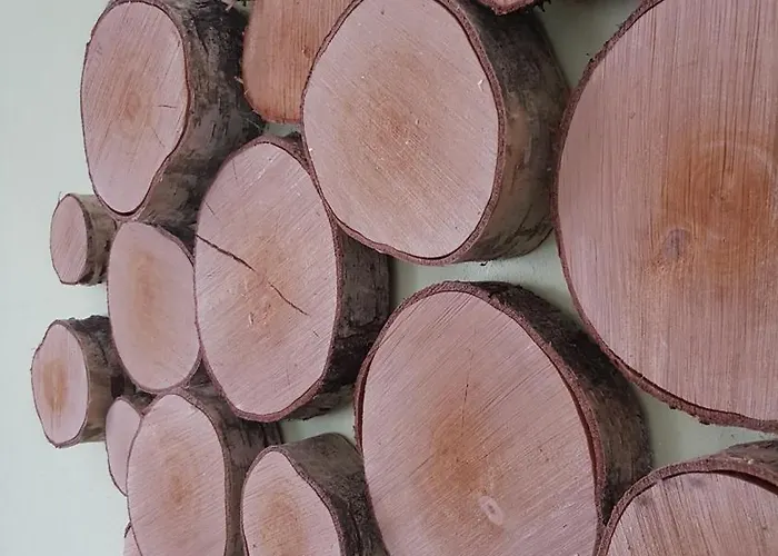 Tuvalu 公寓 雷马根